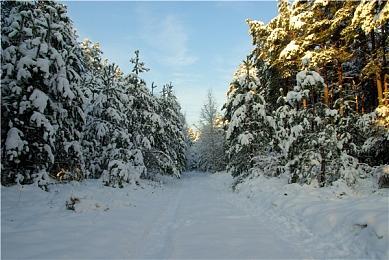 《崩坏：星穹铁道》砂金角色PV——「金手指」